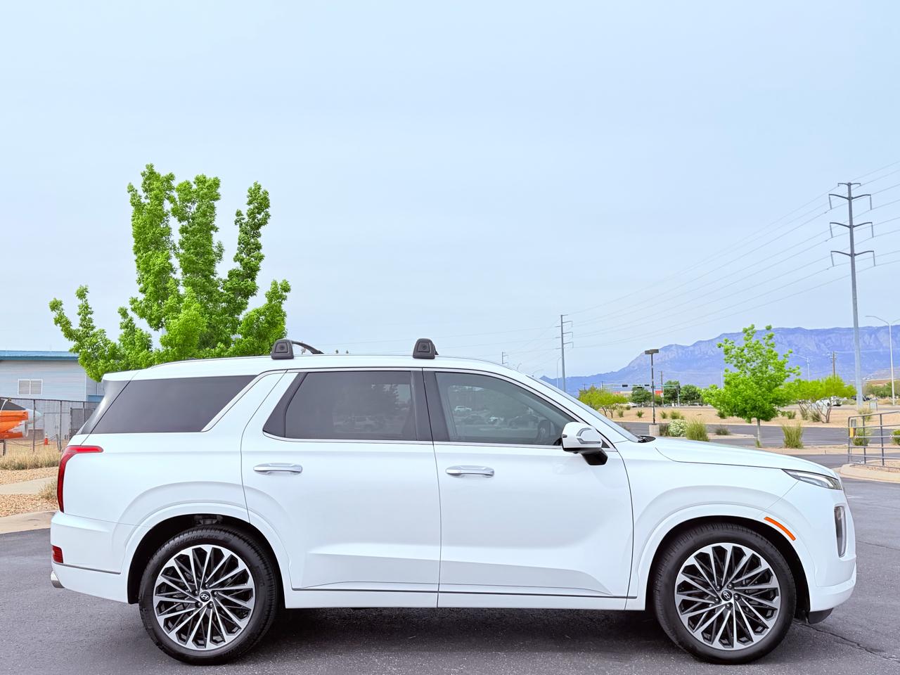 Hyundai Palisade Limited 2021