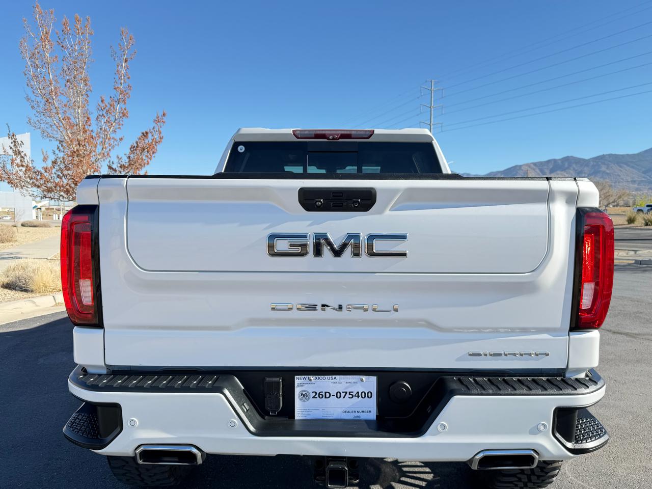 GMC Sierra 1500 Denali Crew Cab 4WD 2020
