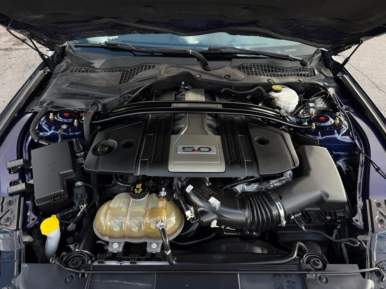 Ford Mustang GT Fastback 2019