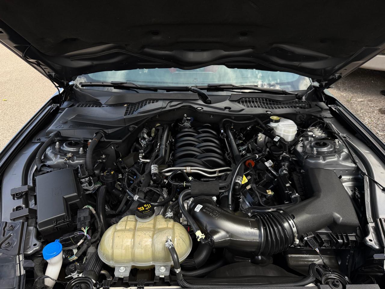 Ford Mustang GT Premium 2D Coupe 2022