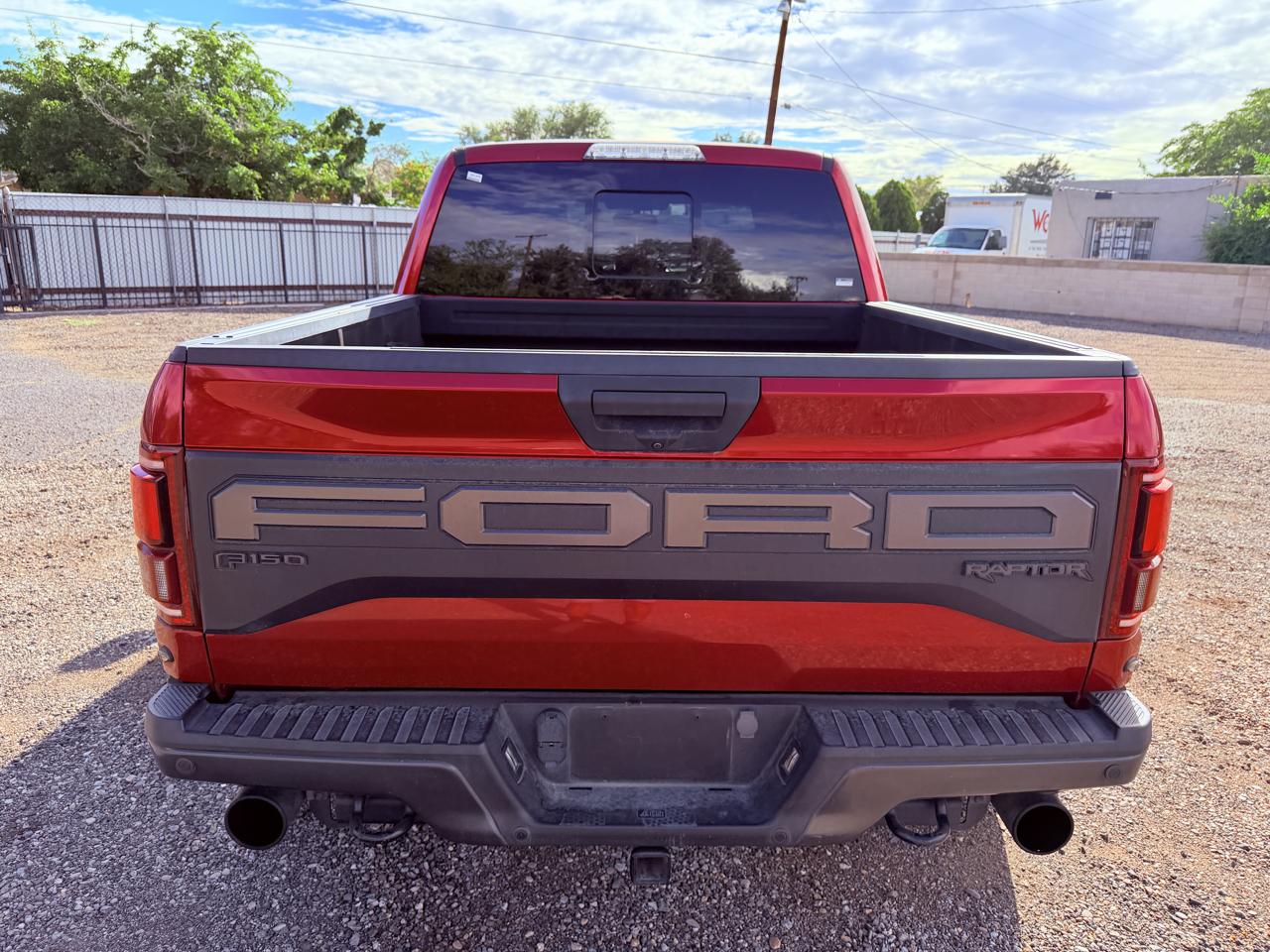 Ford F-150 Raptor 4WD SuperCrew 5.5' Box 2020