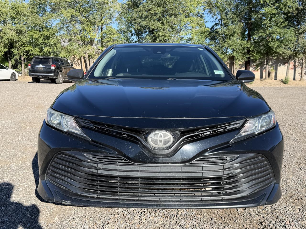 Toyota Camry XLE Auto (Natl) 2019