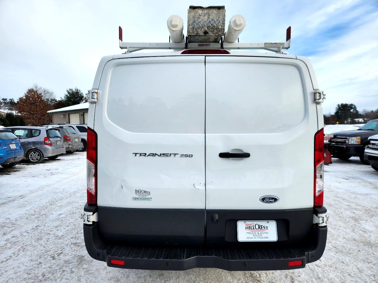 Ford Transit Van T-250 130" Low Rf 9000 GVWR Swing-Out RH Dr 2017