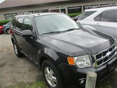2011 Ford Escape  2011 Ford Escape