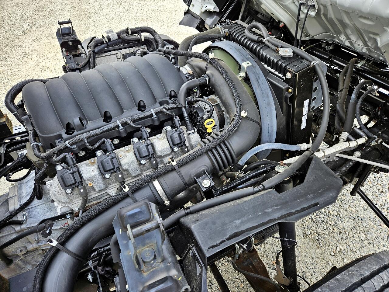 Chevrolet 4500 LCF Gas  2023