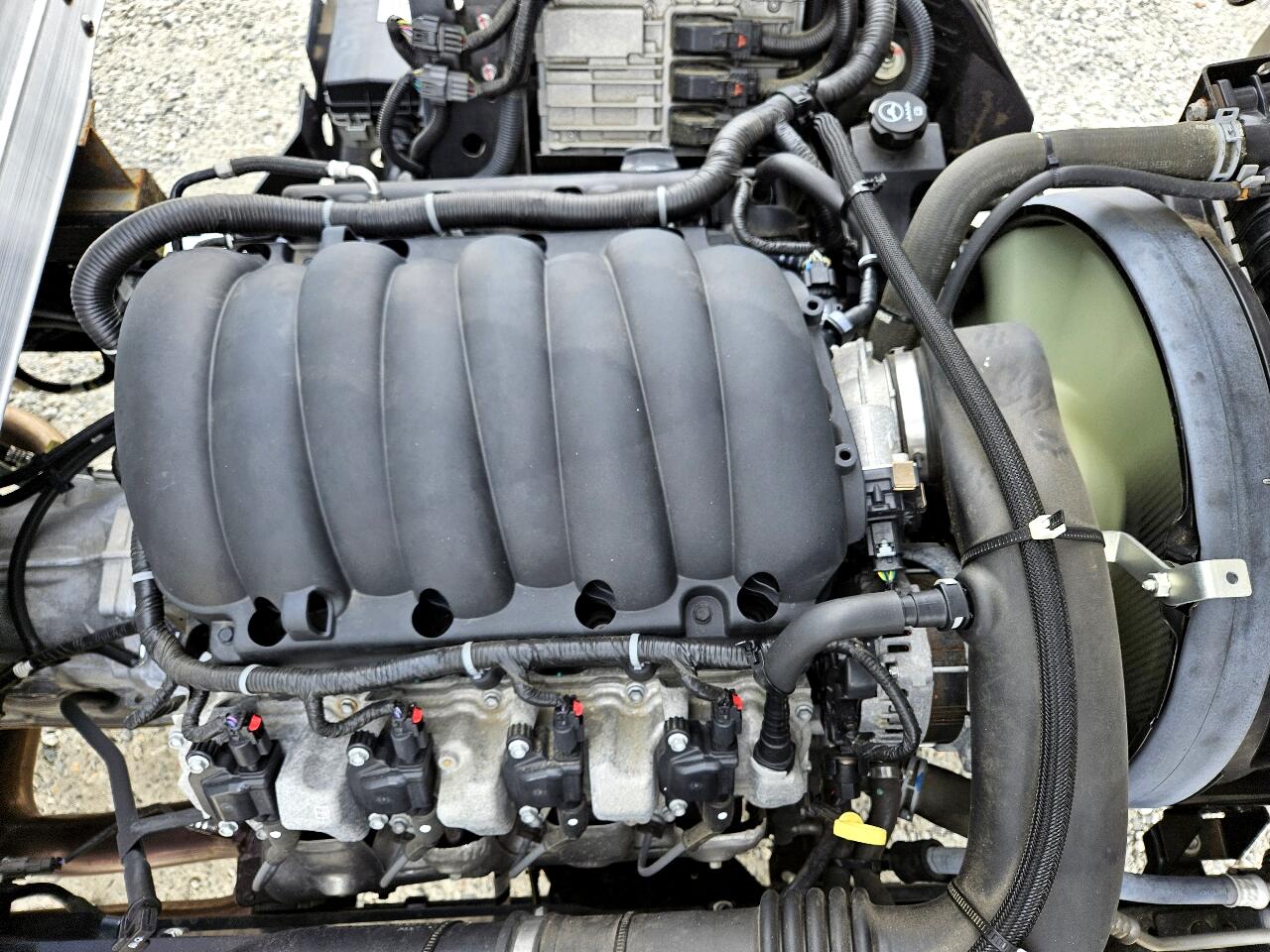 Chevrolet 4500 LCF Gas  2023