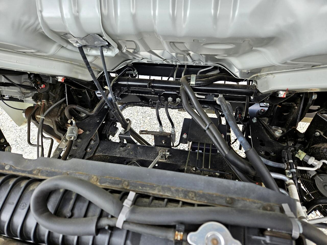 Chevrolet 4500 LCF Gas  2023