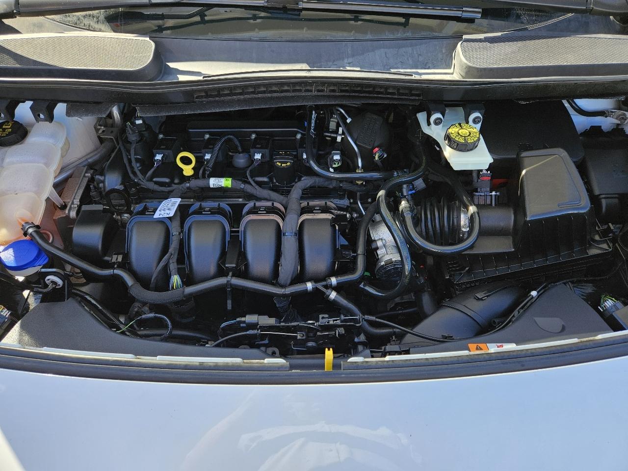Ford Transit Connect  2020