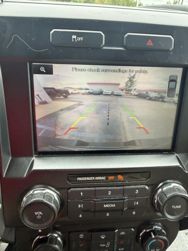 Ford F-150 4WD SuperCrew 145" XLT 2015