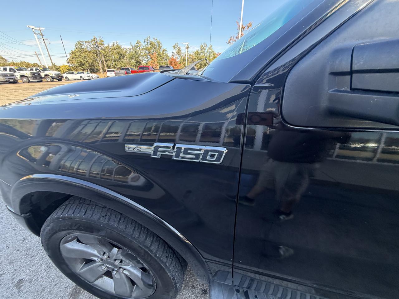 Ford F-150 FX2 SuperCrew 5.5-ft. Bed 2WD 2012