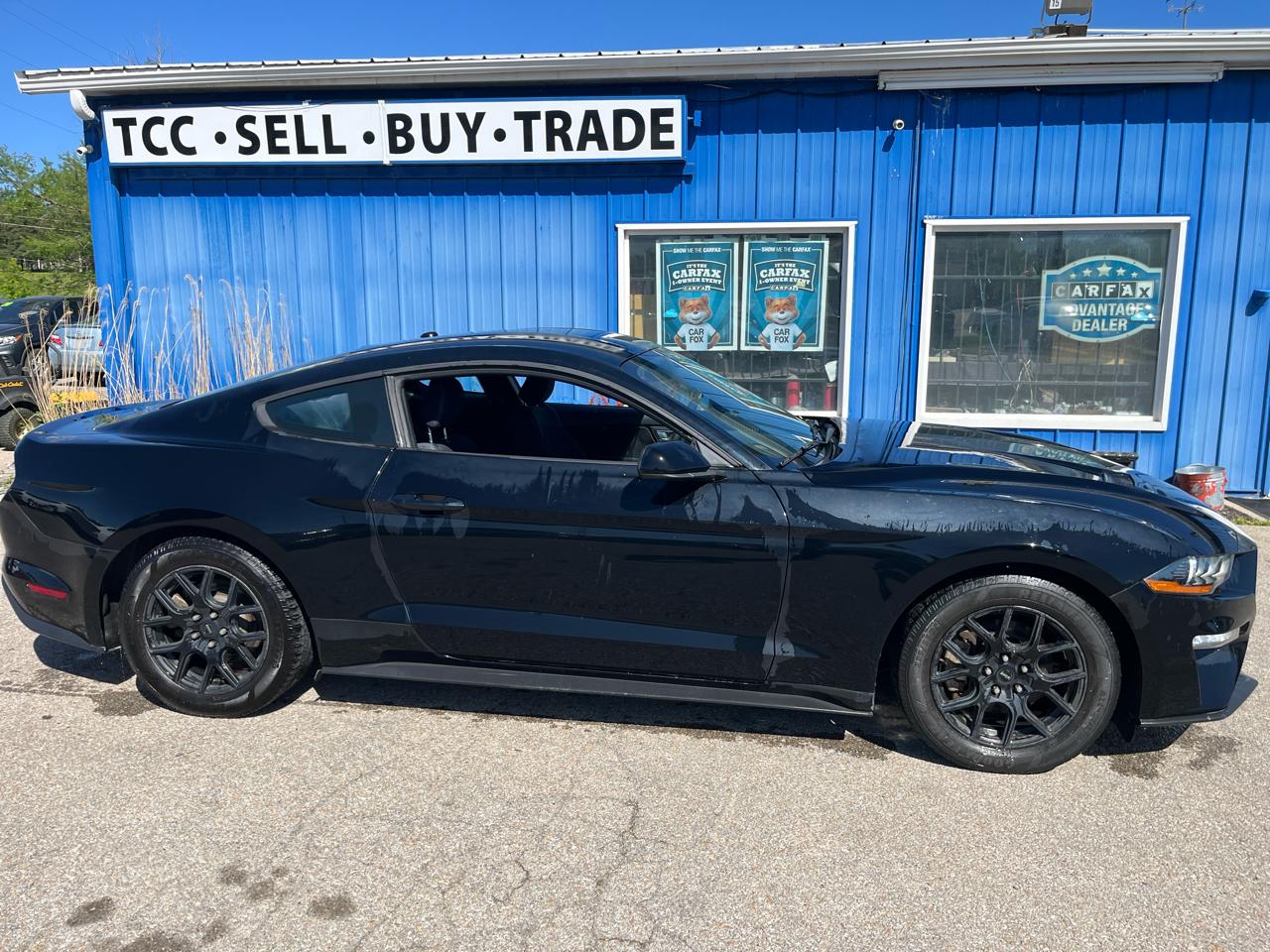 Ford Mustang EcoBoost Fastback 2019