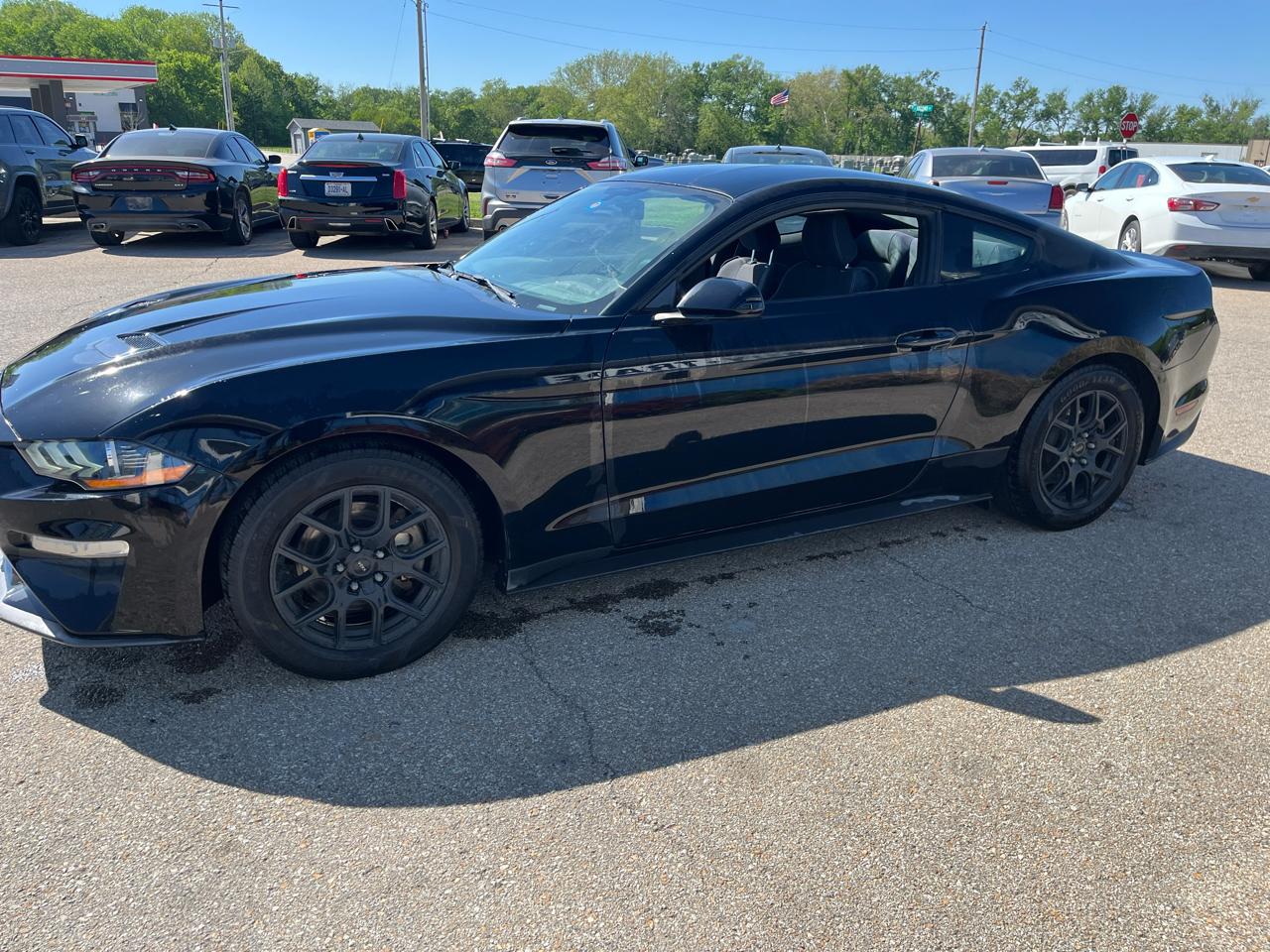 Ford Mustang EcoBoost Fastback 2019