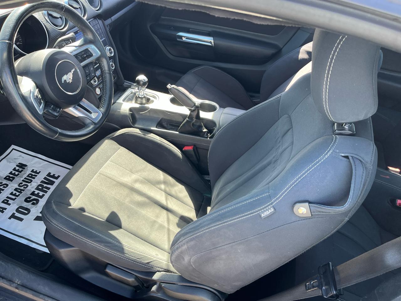 Ford Mustang EcoBoost Fastback 2019