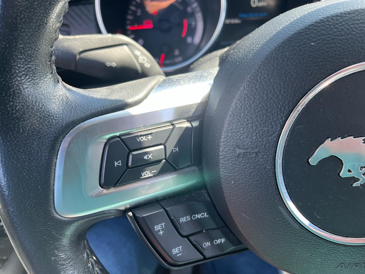 Ford Mustang EcoBoost Fastback 2019