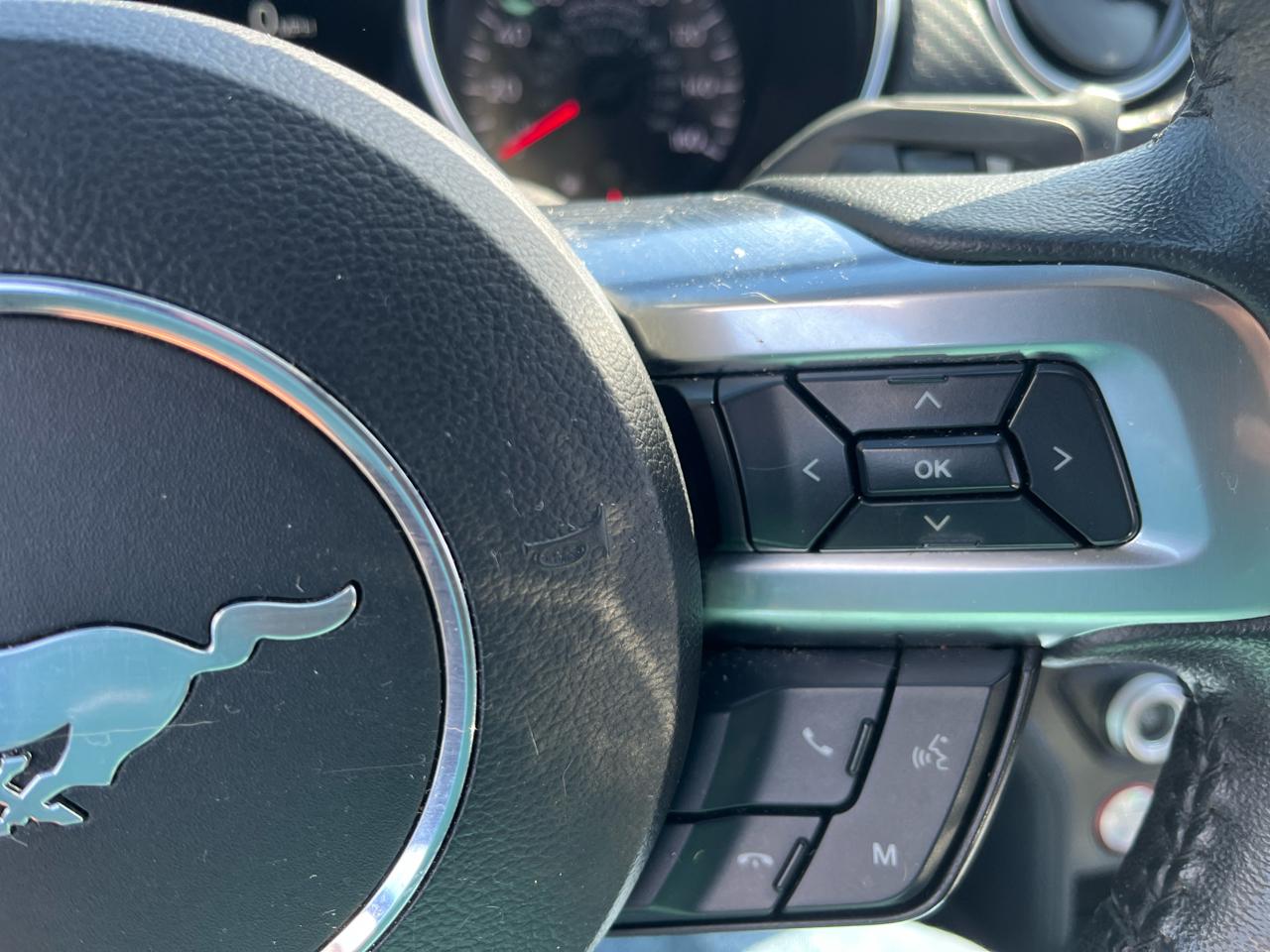 Ford Mustang EcoBoost Fastback 2019