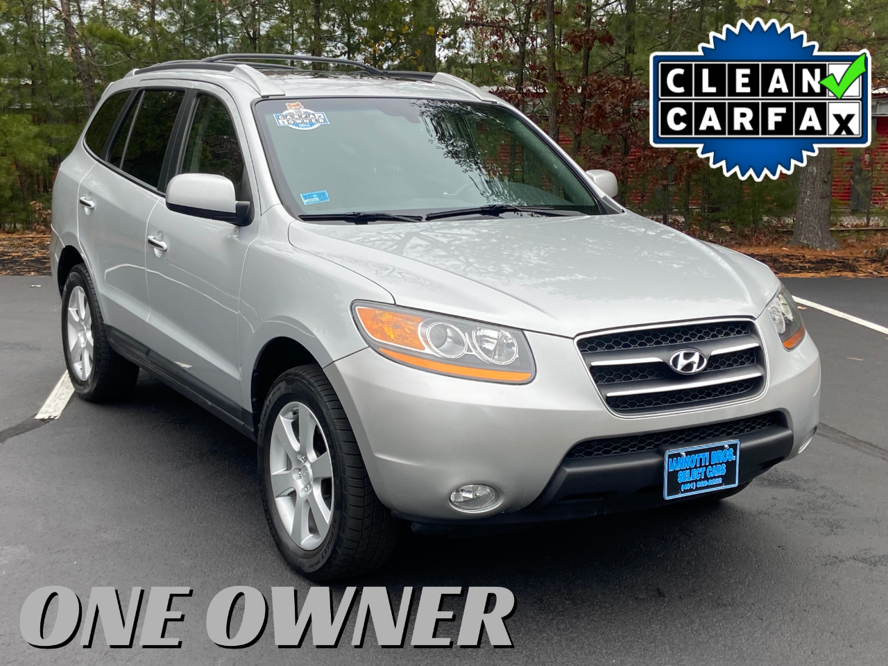 2009 Hyundai Santa Fe FWD 4dr V6 Auto SE