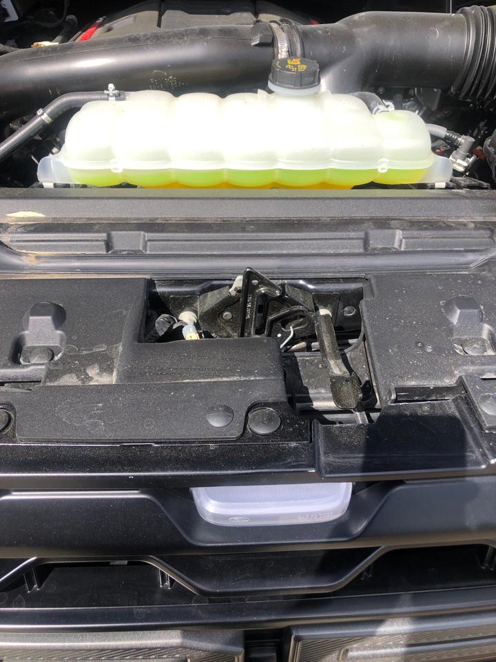 Ford F-150 Raptor 4WD SuperCrew 5.5' Box 2025