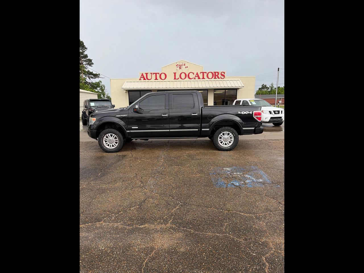 Ford F-150 4WD SuperCrew 145" Platinum 2013