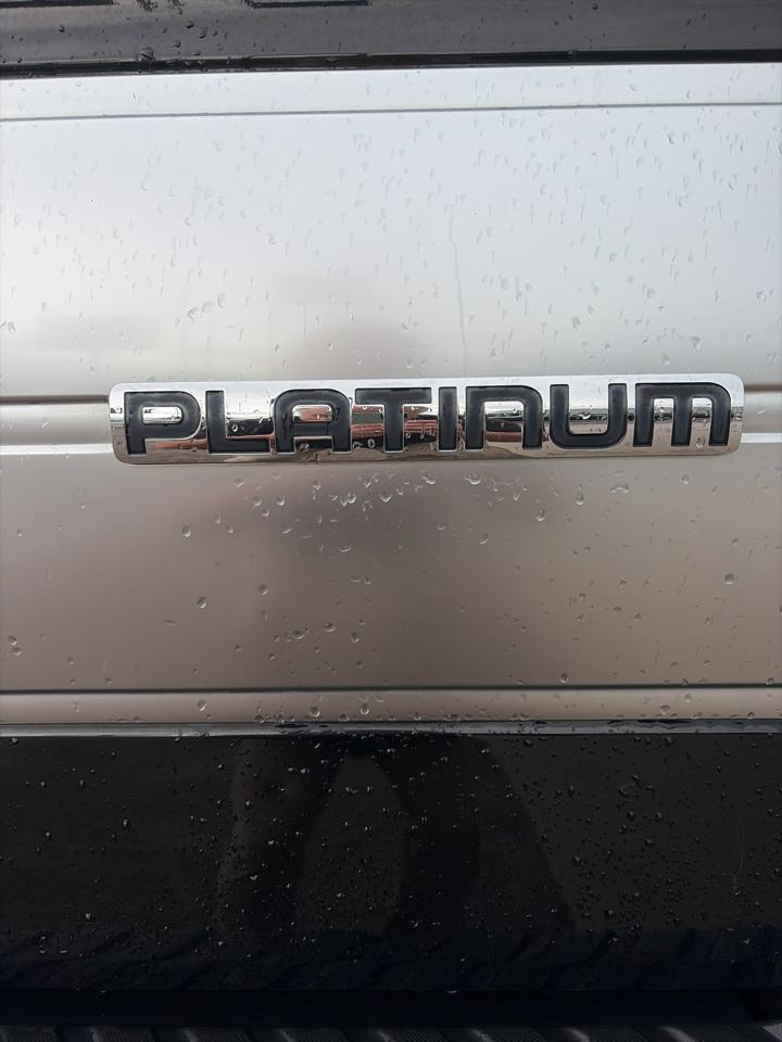 Ford F-150 4WD SuperCrew 145" Platinum 2013
