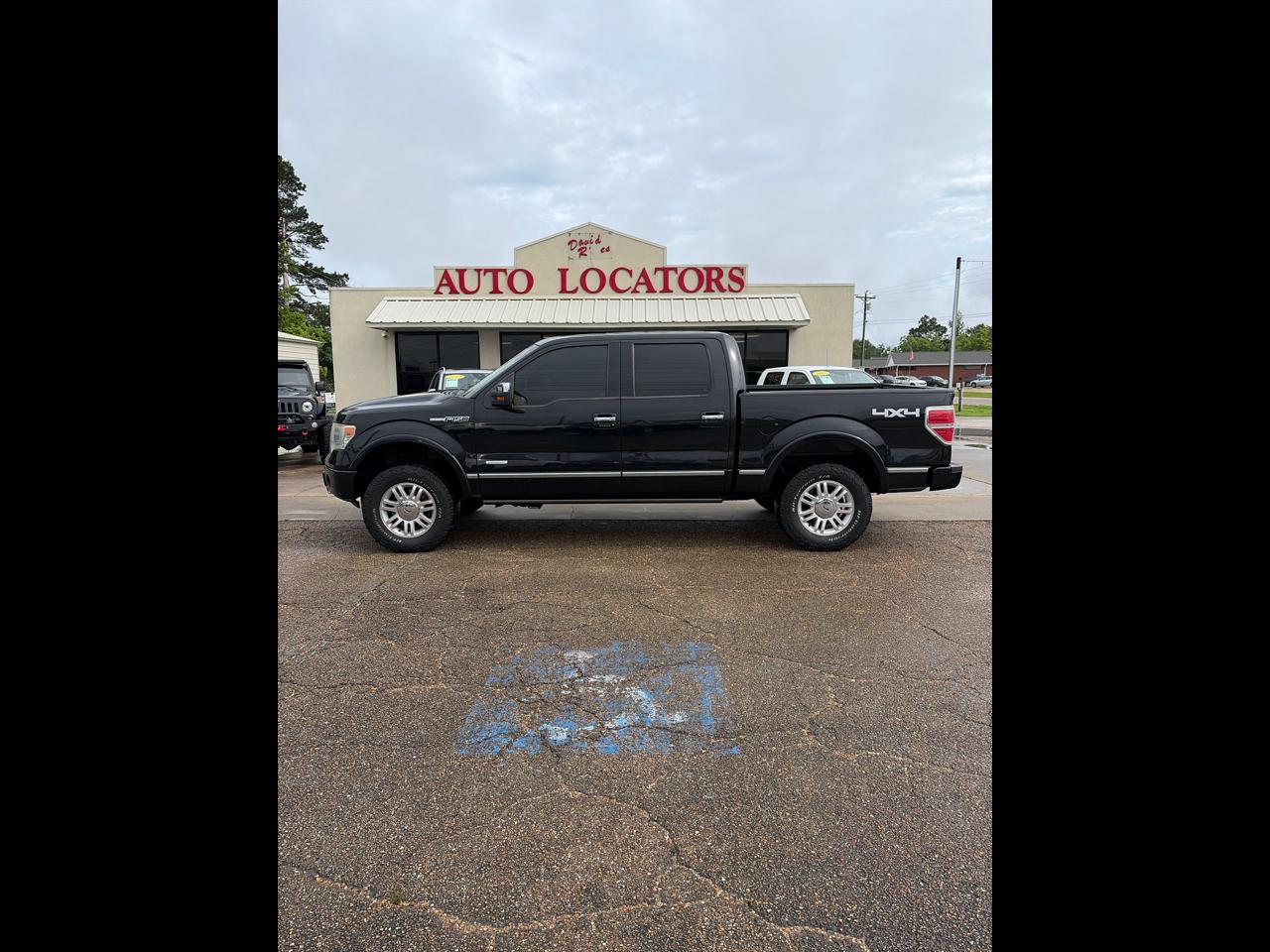 Ford F-150 4WD SuperCrew 145" Platinum 2013