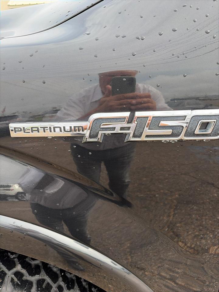 Ford F-150 4WD SuperCrew 145" Platinum 2013