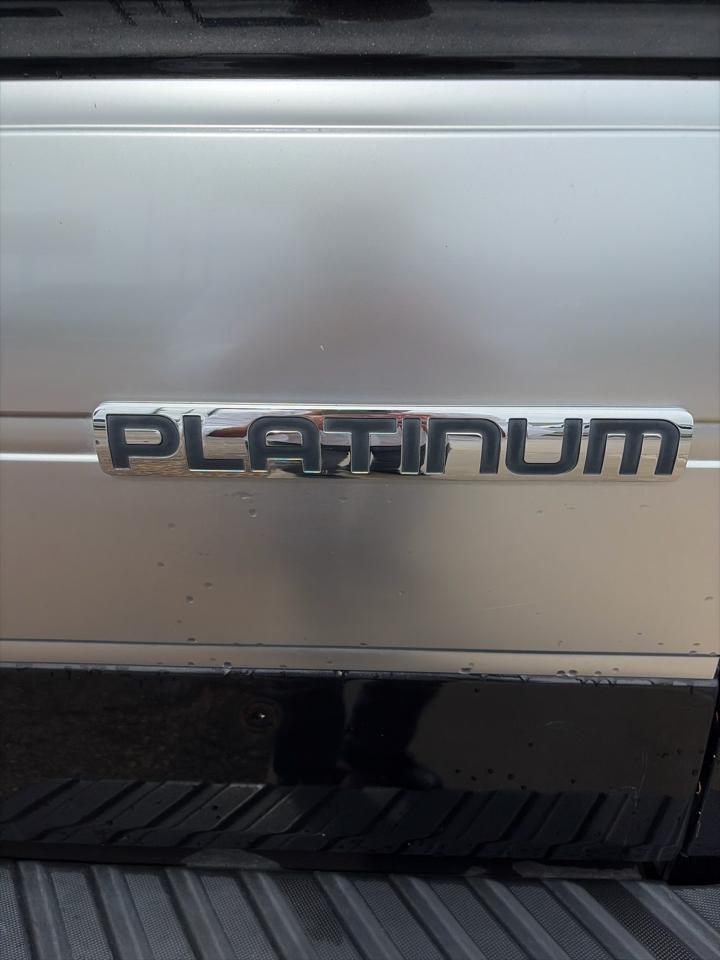 Ford F-150 4WD SuperCrew 145" Platinum 2013