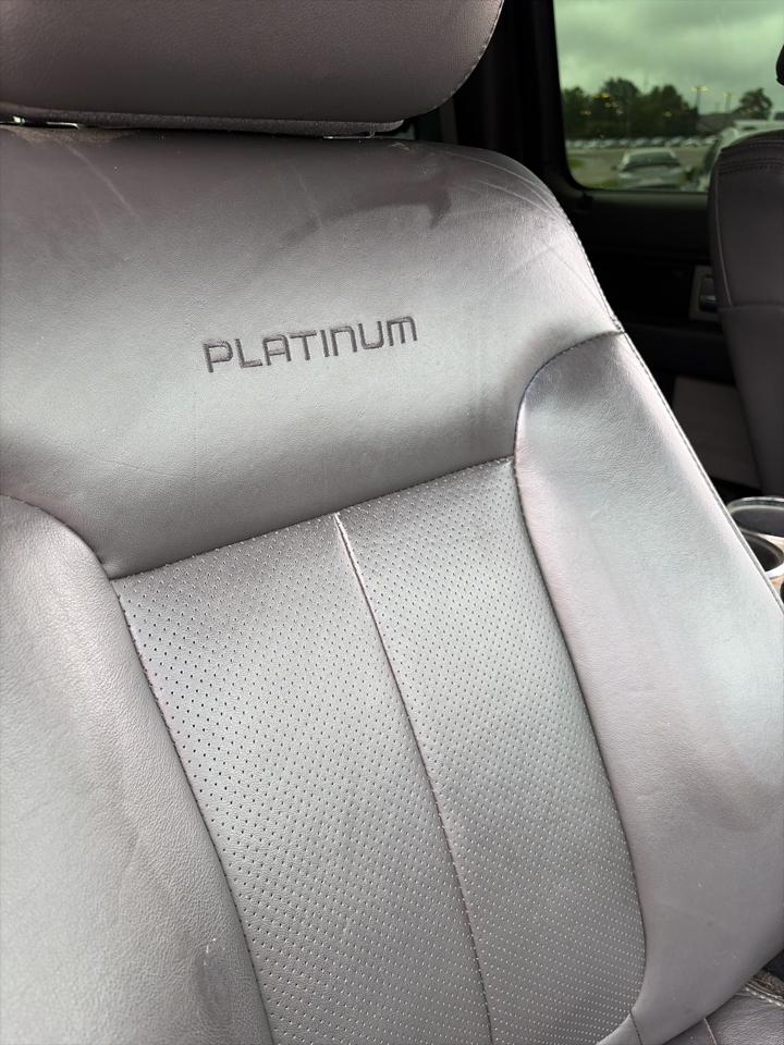 Ford F-150 4WD SuperCrew 145" Platinum 2013