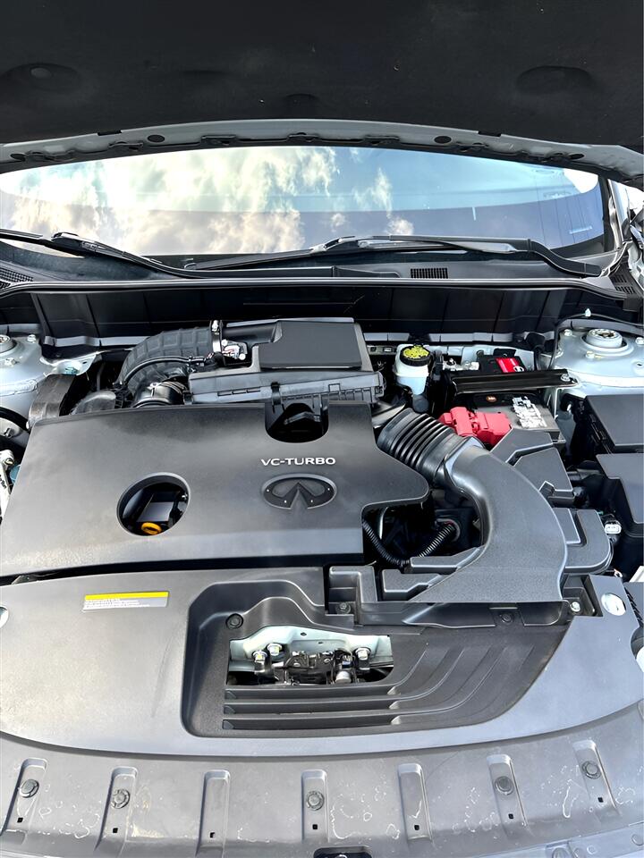 2019 Infiniti QX50 PURE AWD photo 39