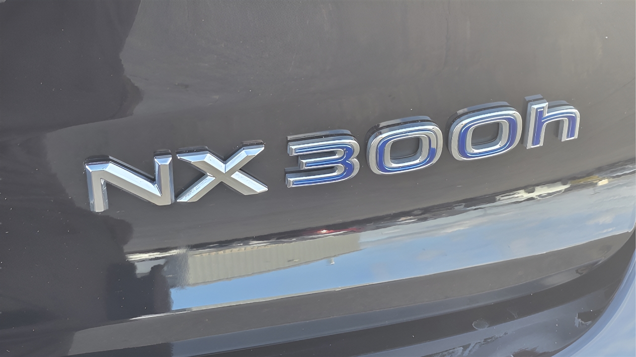 Lexus NX 300h AWD 2016