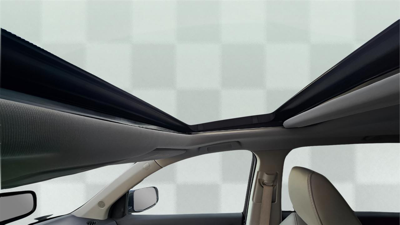 Toyota Camry XLE V6 6-Spd AT 2009