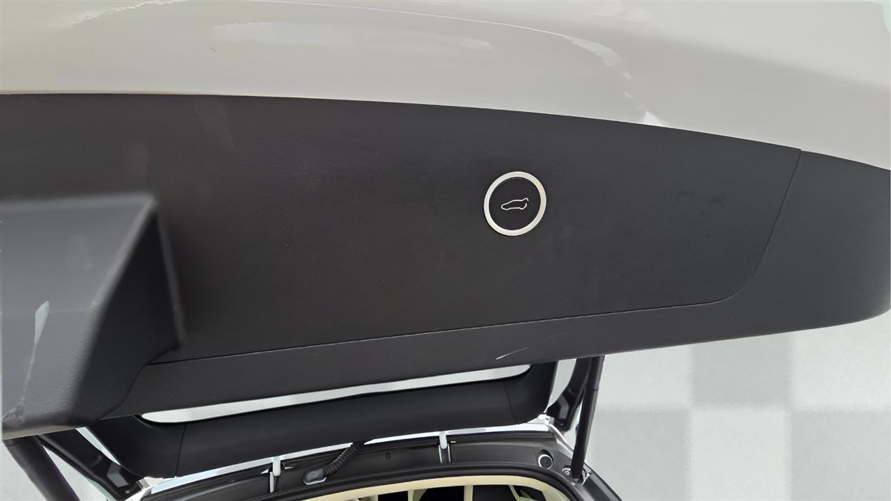 Tesla Model X 100D 2018