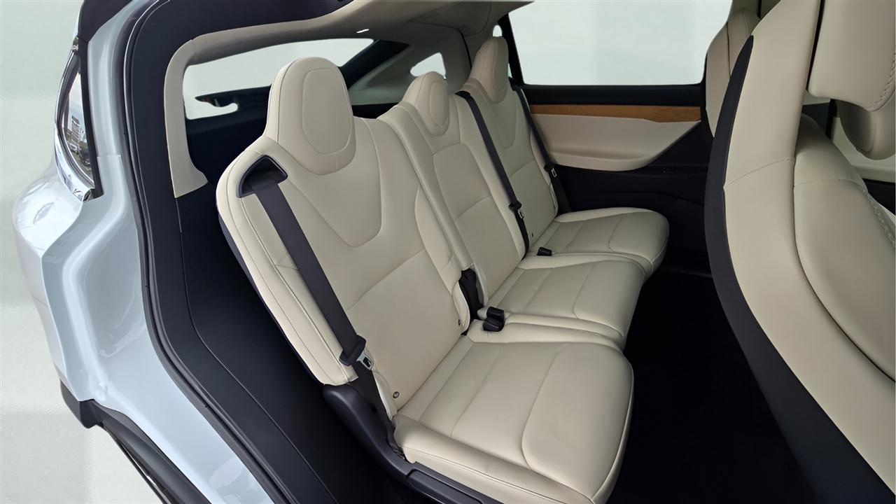 Tesla Model X 100D 2018