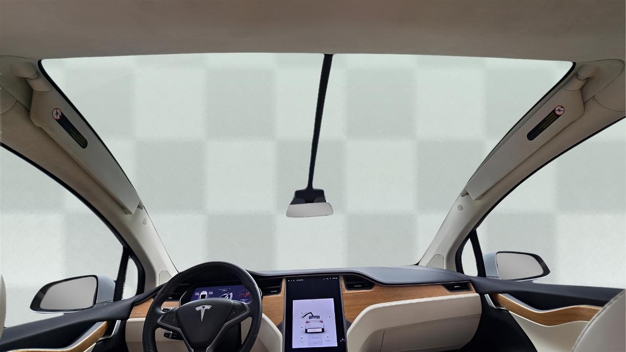 Tesla Model X 100D 2018