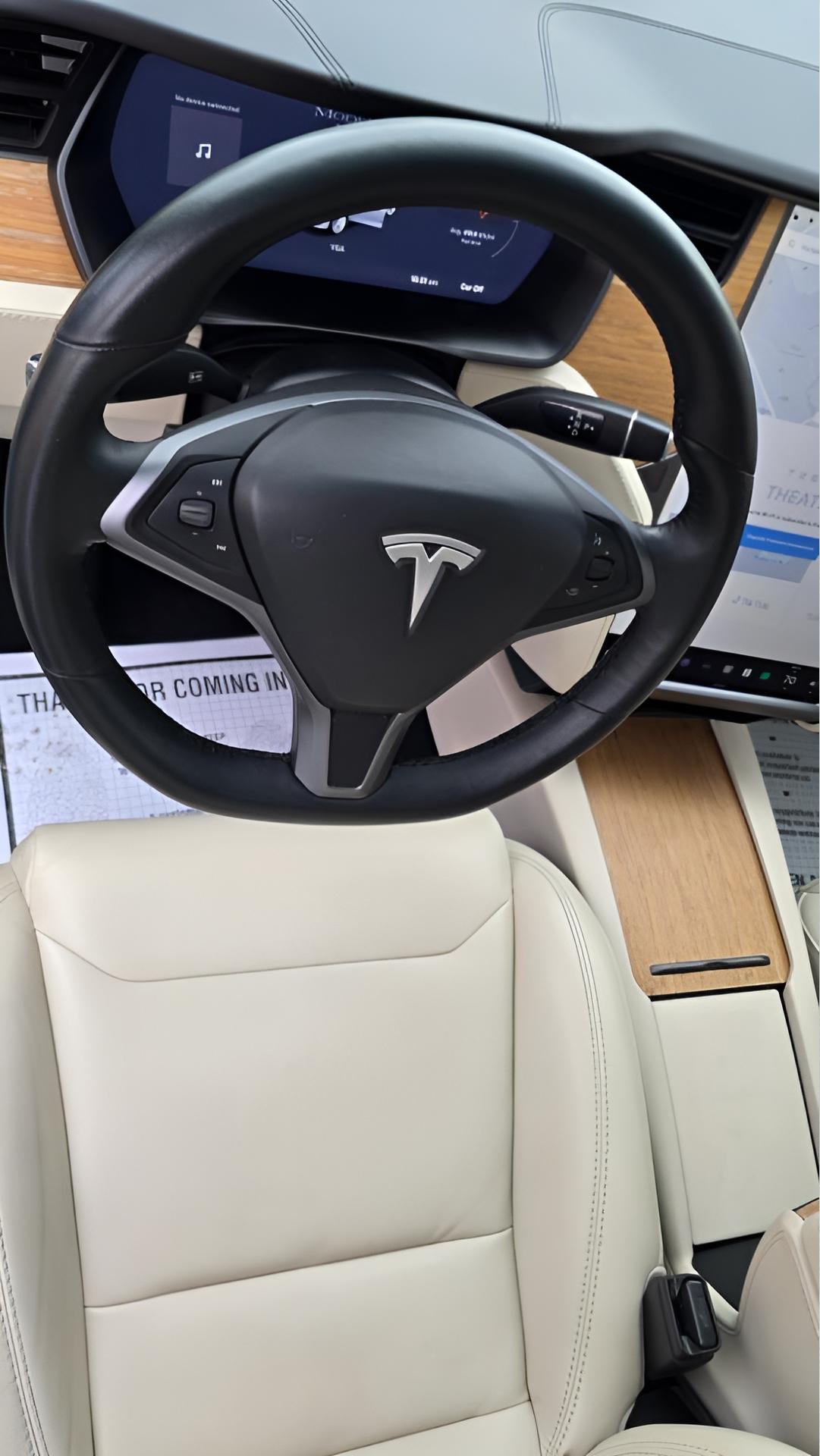 Tesla Model X 100D 2018