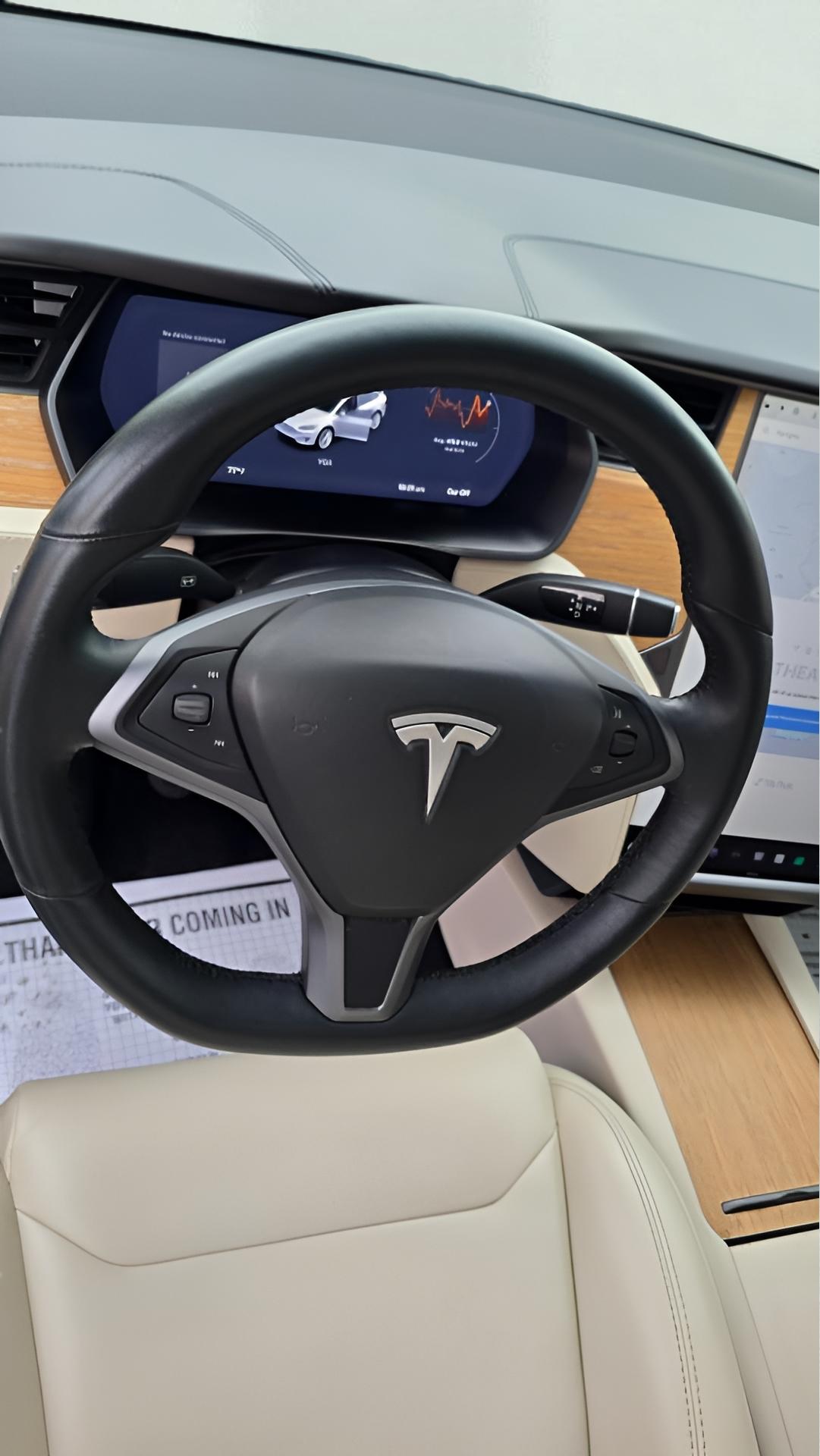 Tesla Model X 100D 2018