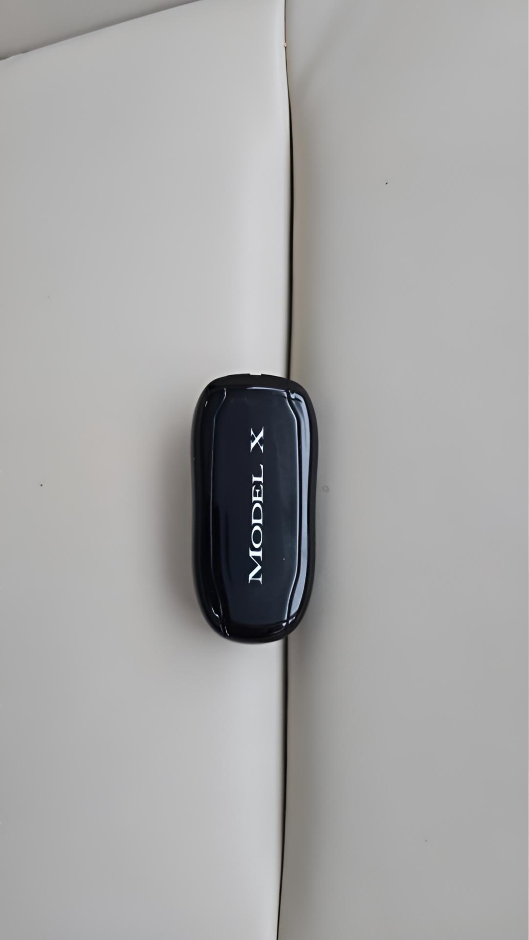 Tesla Model X 100D 2018