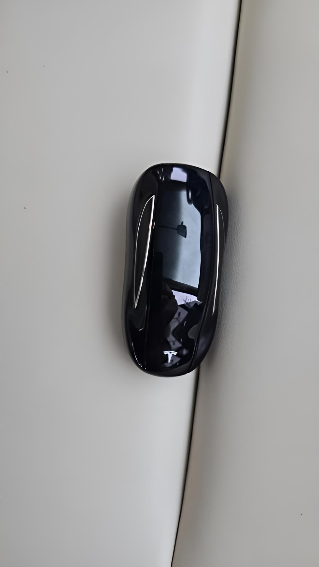 Tesla Model X 100D 2018