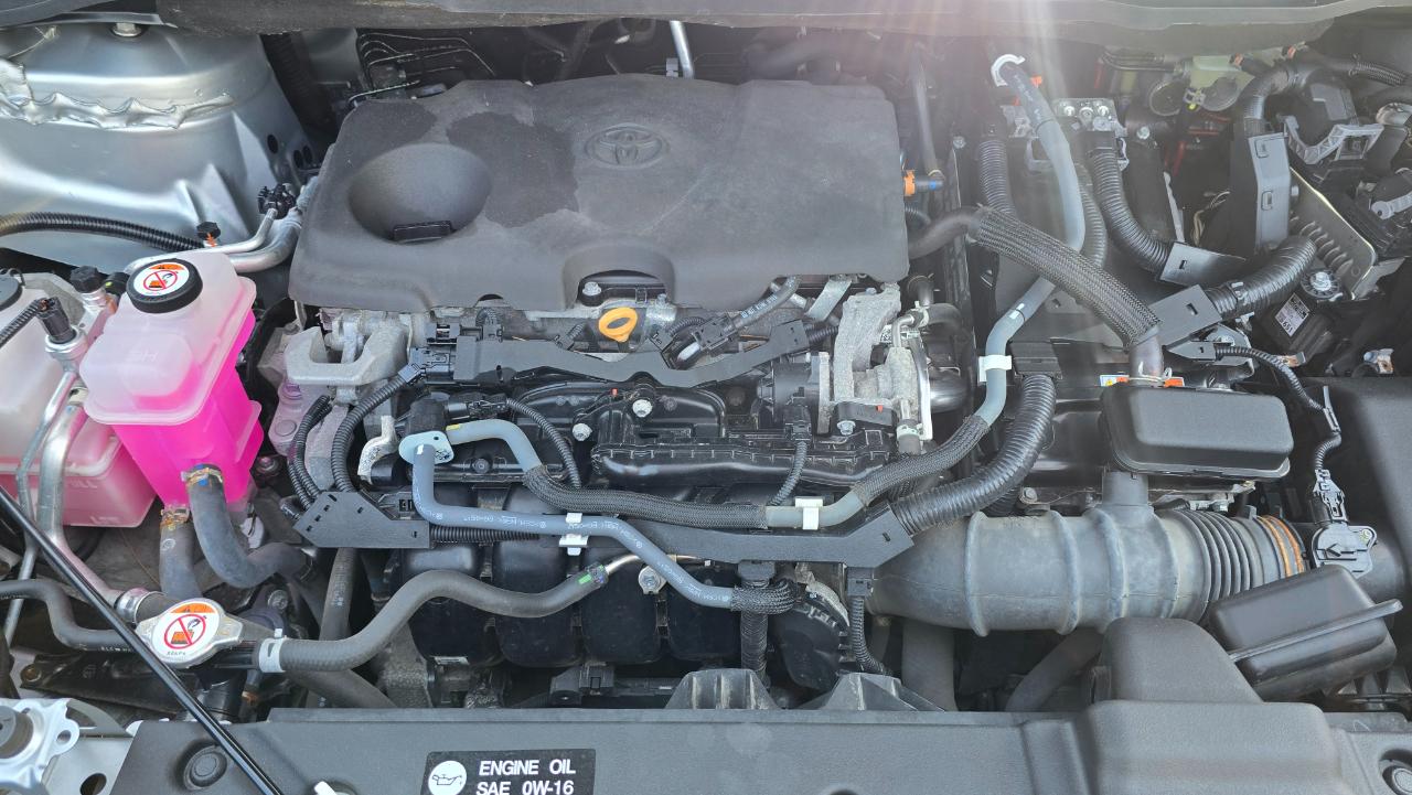 Toyota Sienna LE 8-Passenger AWD 2021