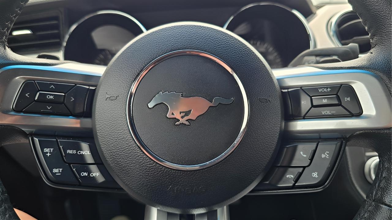 Ford Mustang EcoBoost Coupe 2015