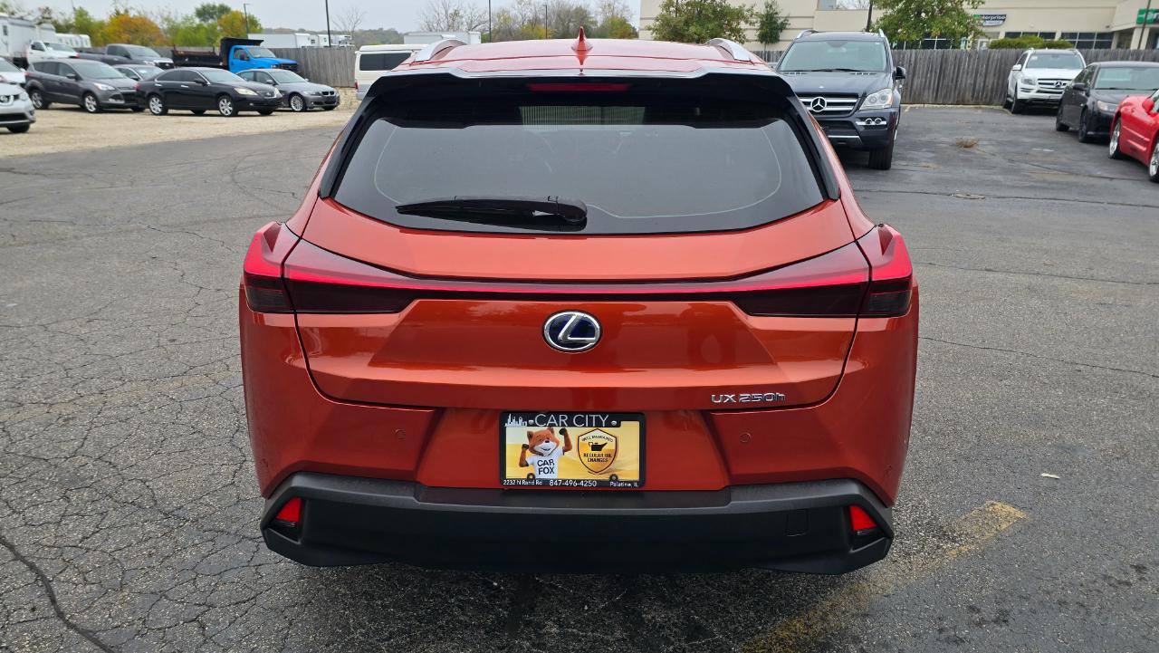 Lexus UX 250h Base 2021