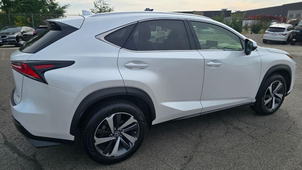 Lexus NX 300 F SPORT 2019