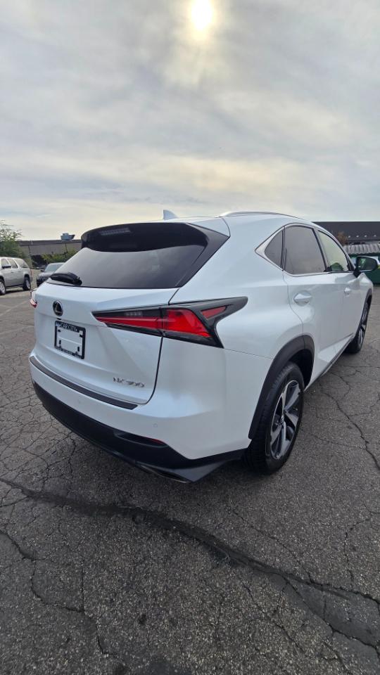 Lexus NX 300 F SPORT 2019