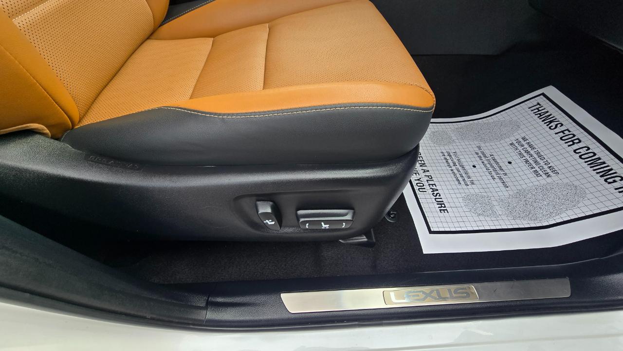 Lexus NX 300 F SPORT 2019