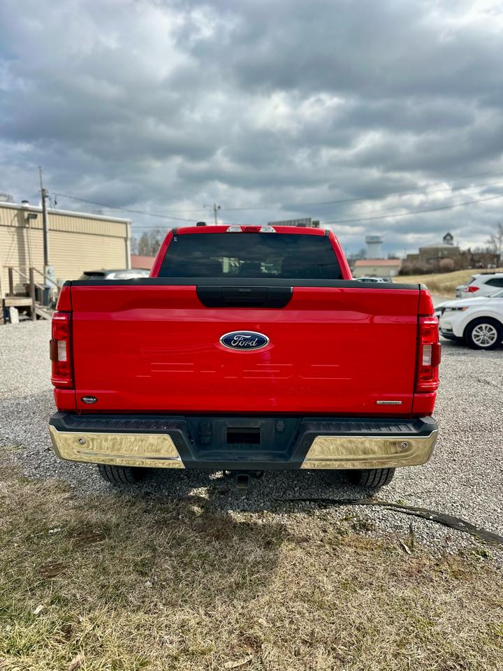 Ford F-150 XL SuperCrew 6.5-ft. Bed 4WD 2022