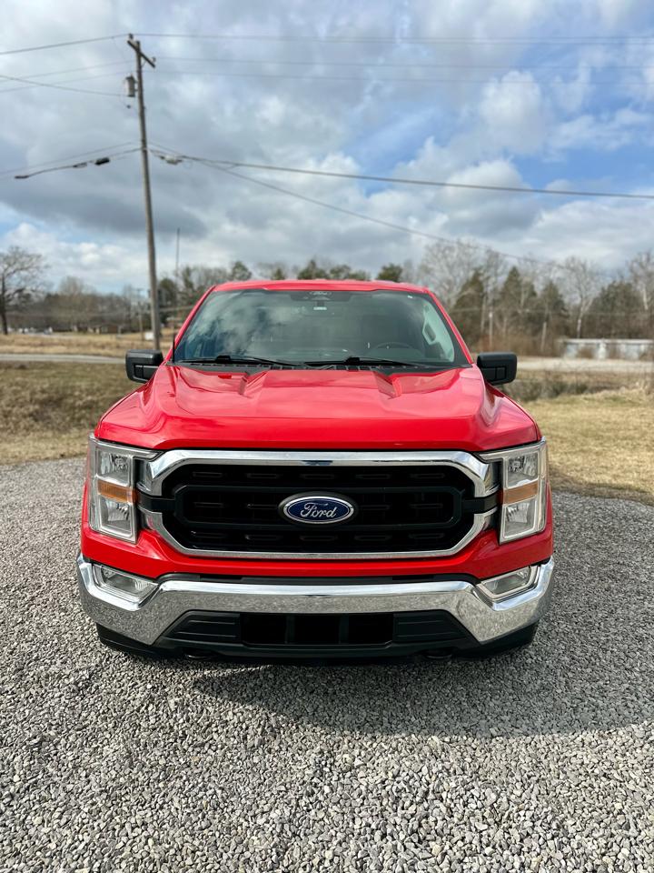 Ford F-150 XL SuperCrew 6.5-ft. Bed 4WD 2022