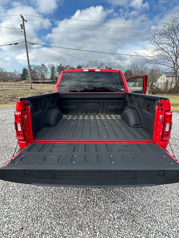 Ford F-150 XL SuperCrew 6.5-ft. Bed 4WD 2022