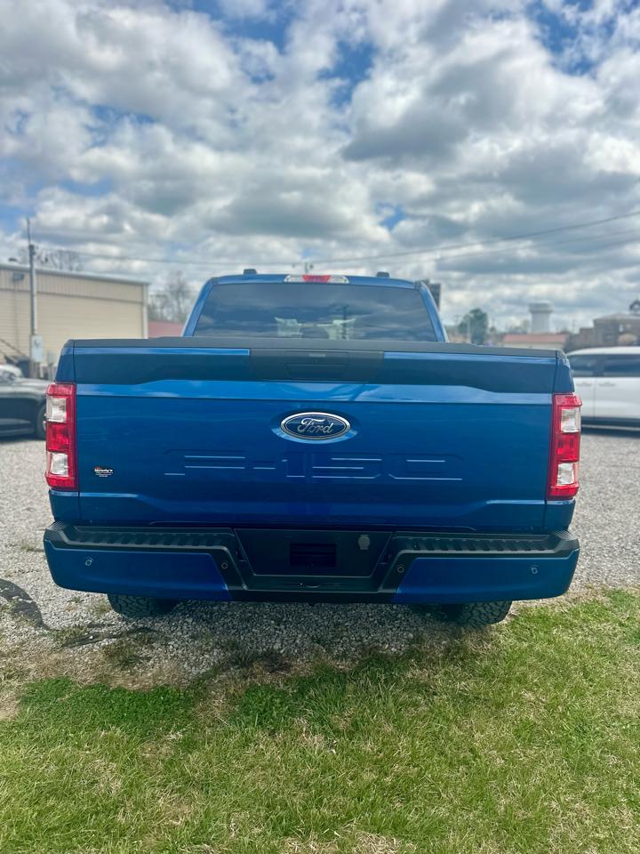 Ford F-150 4WD SuperCab 133" STX 2023