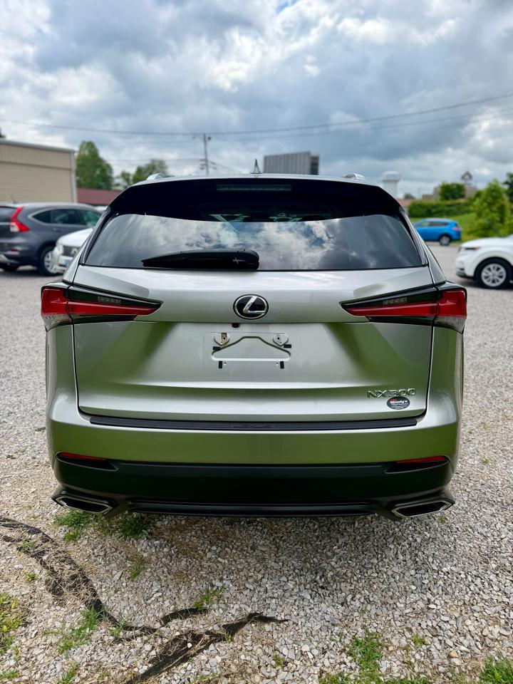 Lexus NX 300 Luxury 2021