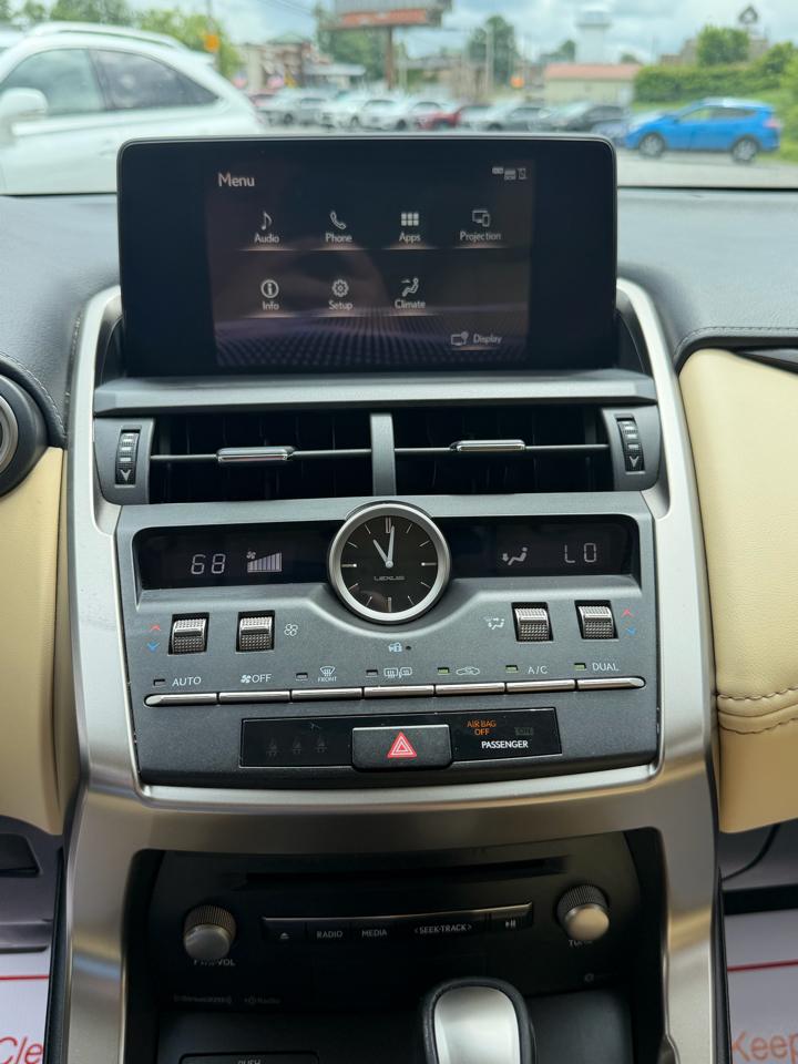 Lexus NX 300 Luxury 2021