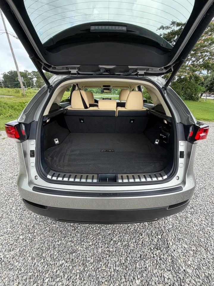 Lexus NX 300 Luxury 2021